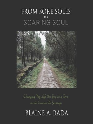 cover image of From Sore Soles to a Soaring Soul